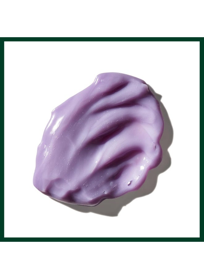 AVEDA Blue Malva Color Conditioner | Purple Conditioner for Silver, Gray, Blonde Hair | Neutralizes Brassiness | Deeply Conditions Hair 8.5 Fl Oz - Image 2