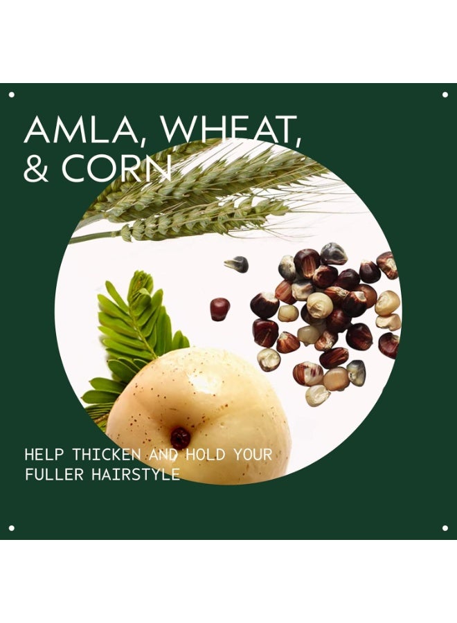 AVEDA Thickening Tonic | Instantly Thickens Hair | for Thin and Fine Hair | with Certified Organic Amla - Image 4