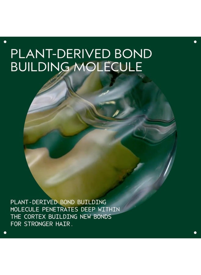 AVEDA Botanical Repair Purple Toning Shampoo | For Blonde, Silver, Grey Hair | Reduces Brassy Tones | Silicone Free | 96% Naturally Derived 6.7 Oz - Image 2