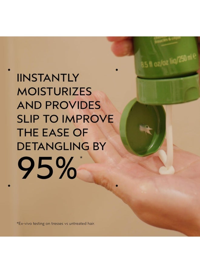 AVEDA Be Curly Advanced Conditioner | Moisturizing Conditioner for Curly, Coily, Wavy Hair | Fights Frizz | Silicone Free | 97% Naturally Derived 8.5 oz - Image 3