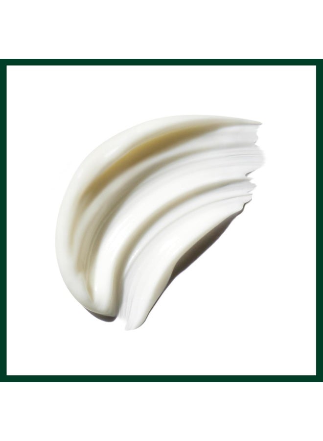 AVEDA Be Curly Advanced Conditioner | Moisturizing Conditioner for Curly, Coily, Wavy Hair | Fights Frizz | Silicone Free | 97% Naturally Derived 8.5 oz - Image 2