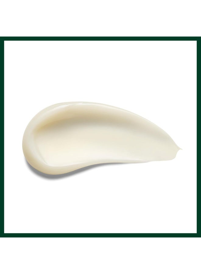 AVEDA Rosemary Mint Weightless Conditioner | Lightweight Daily Conditioner | Adds Body And Shine| for Normal to Oily Hair, Fine to Medium Hair Types | Color Safe | 97% Naturally Derived* 9.17 oz - Image 2