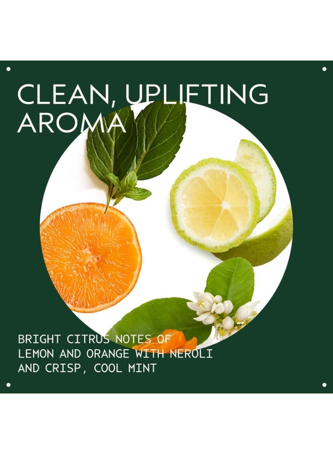 AVEDA Scalp Solutions Balancing Shampoo | Gentle Purifying Shampoo for All Hair Types | Removes Pollution & Build-Up, Improves Scalp Hydration | 94% Naturally Derived - Image 3