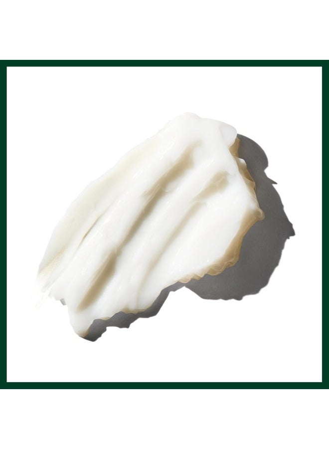 Aveda Brilliant Conditioner | Hydrating, Detangling, Smoothing Conditioner | Adds Shine | with Jojoba and Babassu Oils | for All Hair Types, 6.7 Fl Oz 6.7 Fl Oz - Image 2