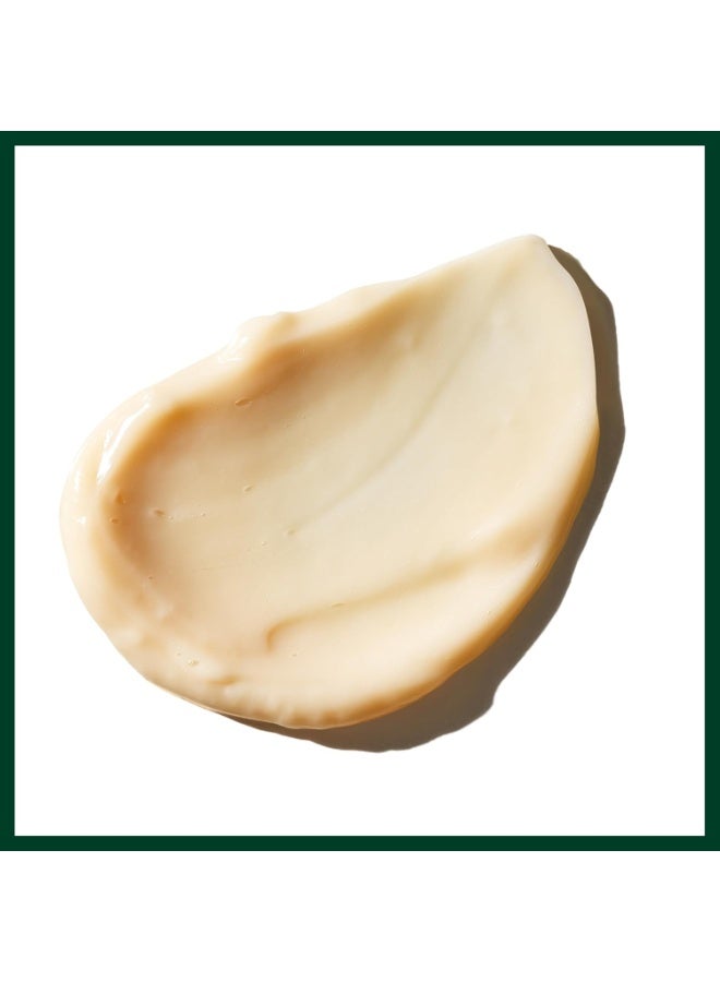 AVEDA Sap Moss Weightless Hydration Conditioner | Hydrates, Detangles, Fights Frizz | Silicone Free | Conditioner for Normal to Dry Hair | 98% Naturally Derived 6.7 Fl Oz - Image 2