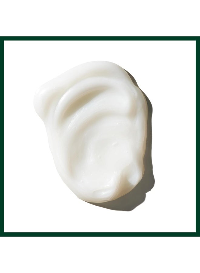 AVEDA Damage Remedy Restructuring Conditioner for Damaged Hair | Repairs and Strengthens Damaged Hair | Detangles | with Quinoa Protein 6.7 Fl Oz - Image 2