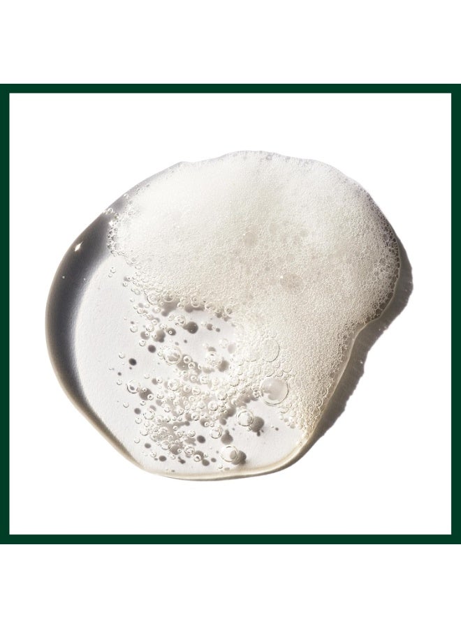 افيدا Brilliant Shampoo | Adds Shine | Deeply Cleanses Hair | Removes Product Build-Up | for All Hair Types, 8.5 Fl Oz - Image 3