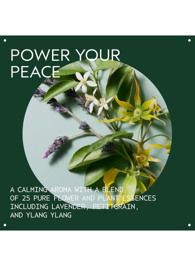 AVEDA Shampure Composition Oil | Bath, Body And Scalp | with Meadowfoam Oil & Certified Organic Sunflower | Calming Aroma of Certified Organic Lavender, Petitgrain, Ylang 1.7 Fl OzFluid Ounce - Image 3