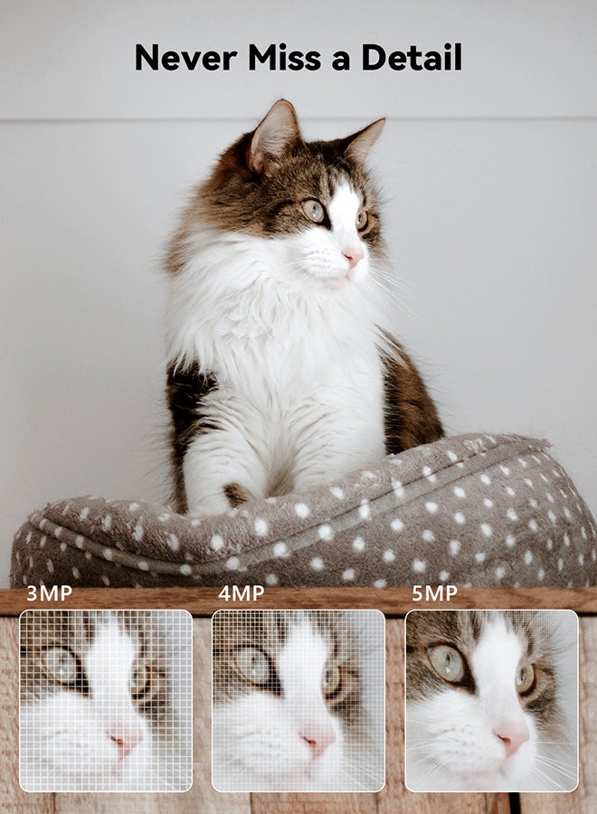 ايمو 5MP Indoor Camera with Call Button, 3K Security Camera for Home, Ultra-Clear Wifi Camera, CCTV Camera for Home,Surveillance Camera with 2.4GHz& 5GHz Dual-Band(Ranger 2C Pro 5MP) - Image 3