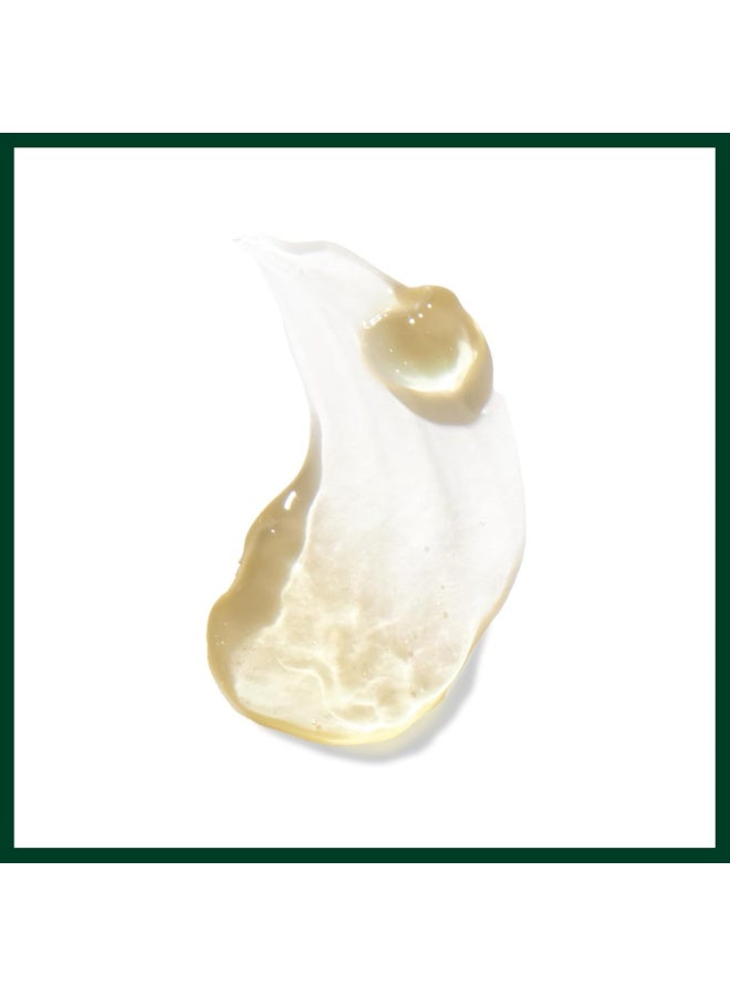 Aveda Men Pure-Formance Firm Hold Hair Gel for Men | Maximum Hold, Control, Shine, 5 Fl Oz 5 Fl Oz - Image 2