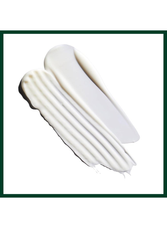 Aveda Nutriplenish Conditioner Light Moisture | Superfood Conditioner for Dry Hair | Organic Pomegranate Oil, Coconut Oil, Mango Butter | 96% Naturally Derived* 1.7 fl oz - Image 2