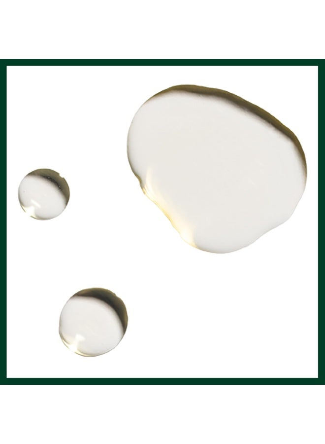 Aveda Nutriplenish Multi-Use Hair Oil | Pre-Shampoo Treatment, Styling, Overnight Oil, Leave-In Treatment | Hydrating Hair Oil | 100% Naturally Derived*, 1 Fl Oz 1 Fl OzFluid Ounce - Image 2