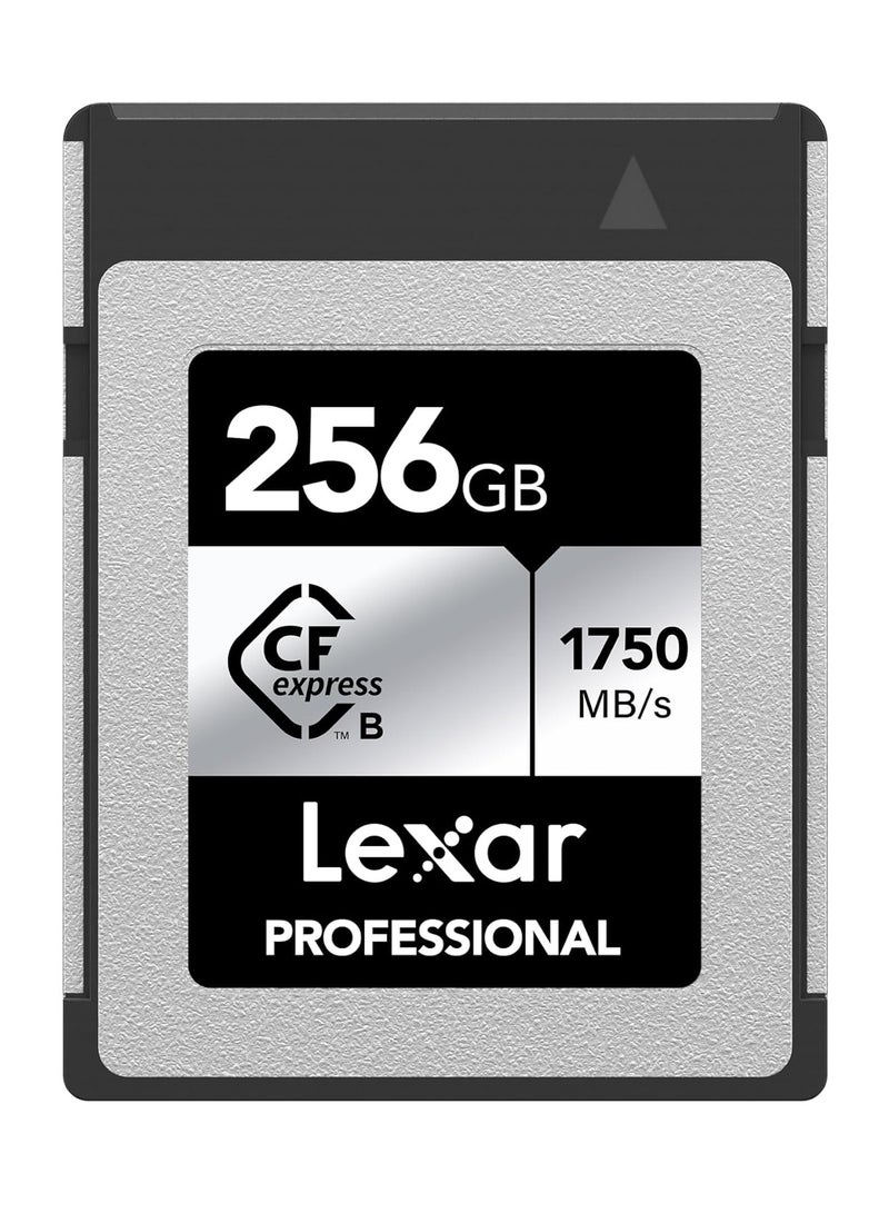 Lexar 256GB Professional CFexpress Type B Silver Series Memory Card - Image 1