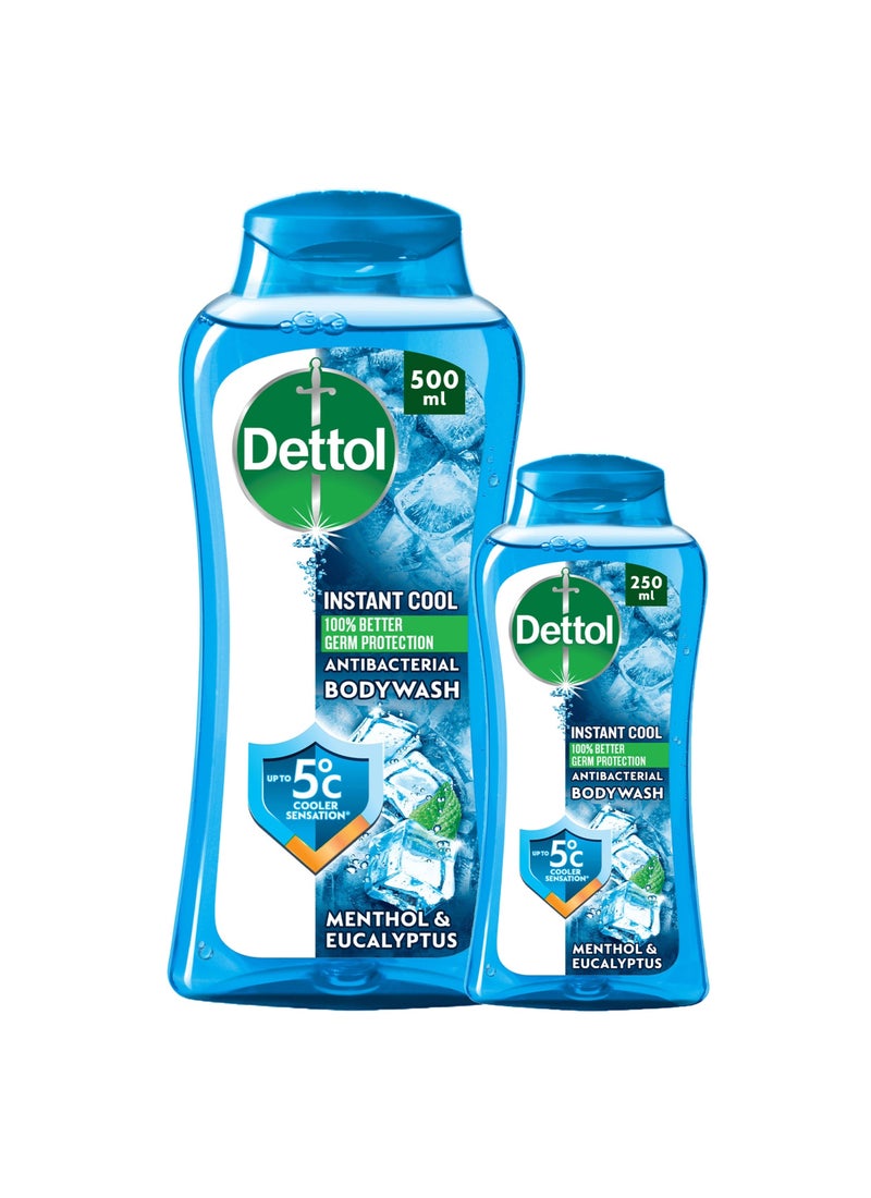 Dettol Cool Shower Gel And Body Wash Menthol With Eucalyptus Scent 500+250ml - Image 1
