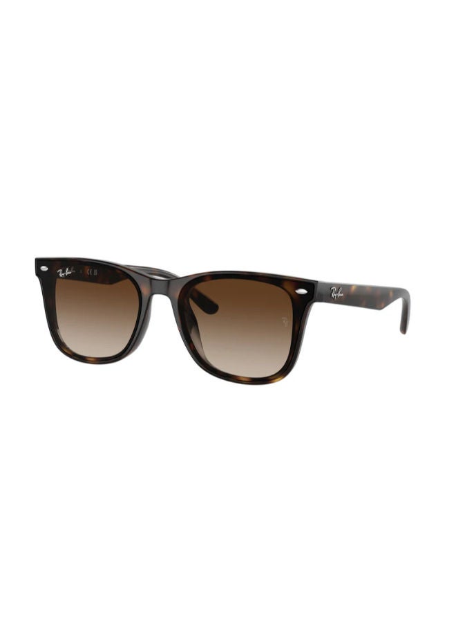 راي بان Full-rimed Square Sunglasses 4420, 65, 710, 13 - Image 1