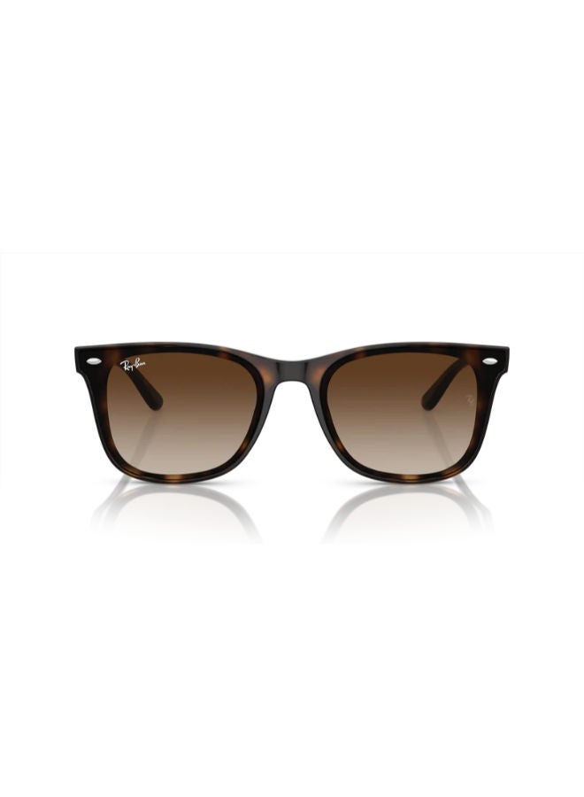 راي بان Full-rimed Square Sunglasses 4420, 65, 710, 13 - Image 3