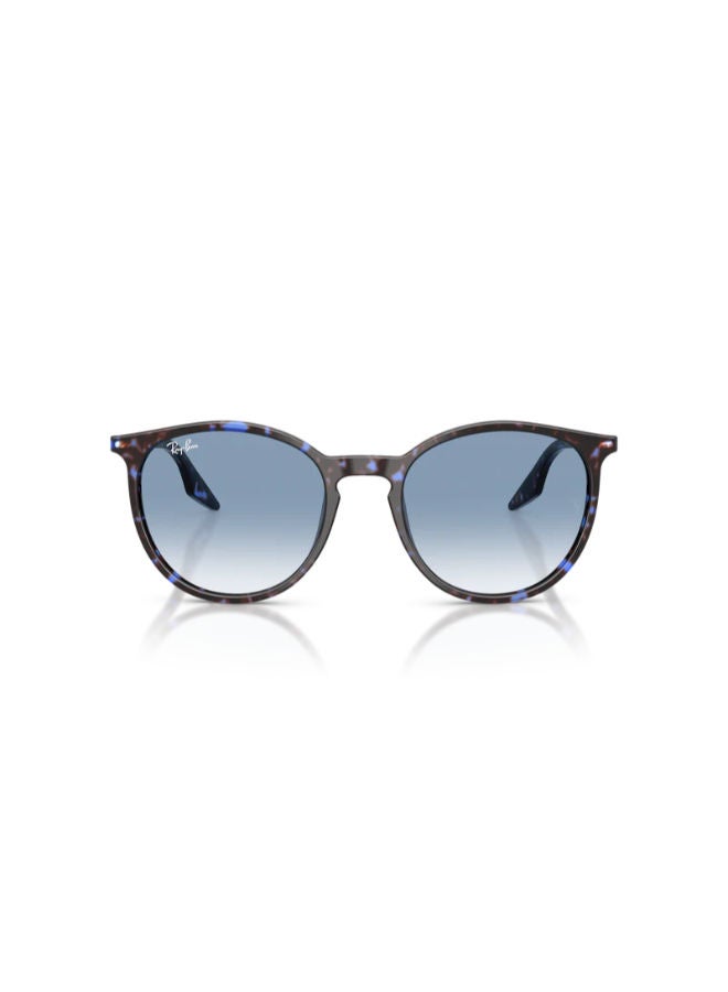 Ray-Ban Full-rimed Round Sunglasses 2204, 51, 1430, 3F - Image 3