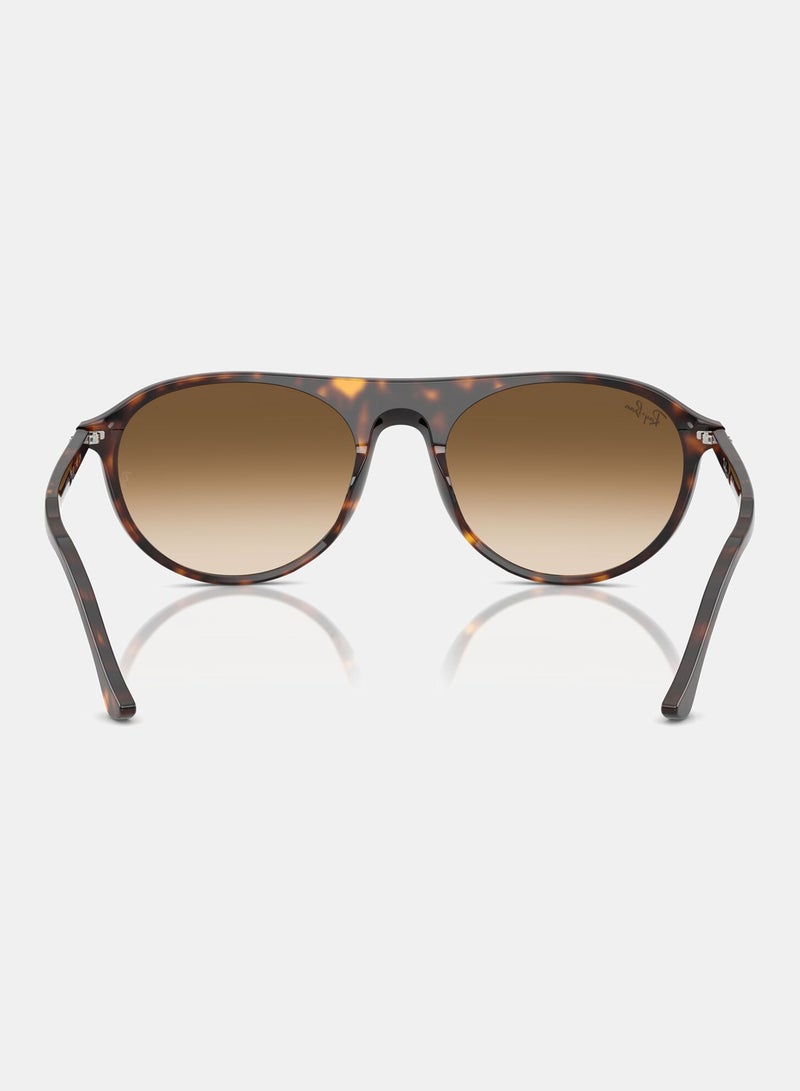 راي بان Women's Full-rimed Aviator Sunglasses 2215, 56, 902, 51 - Image 4