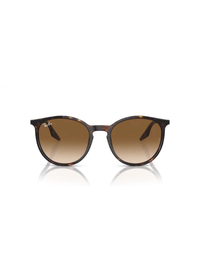 راي بان Full-rimed Round Sunglasses 2204, 51, 902, 51 - Image 3