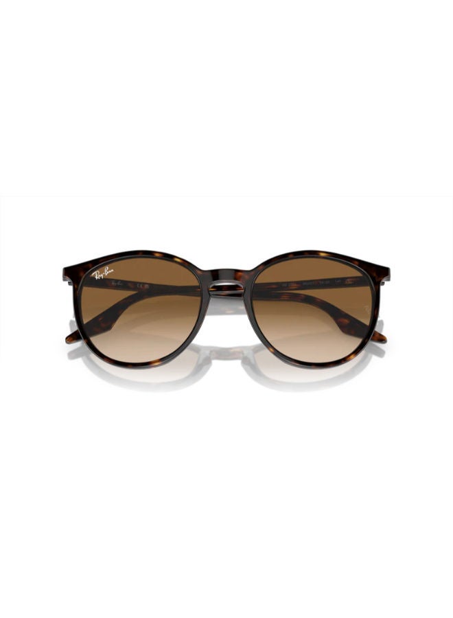 Ray-Ban Full-rimed Round Sunglasses 2204, 51, 902, 51 - Image 2