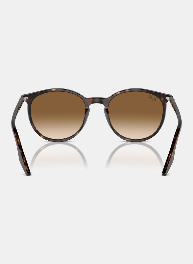 راي بان نظارات شمسية دائرية كاملة الإطار 2204, 51, 902, 51 - Image 4