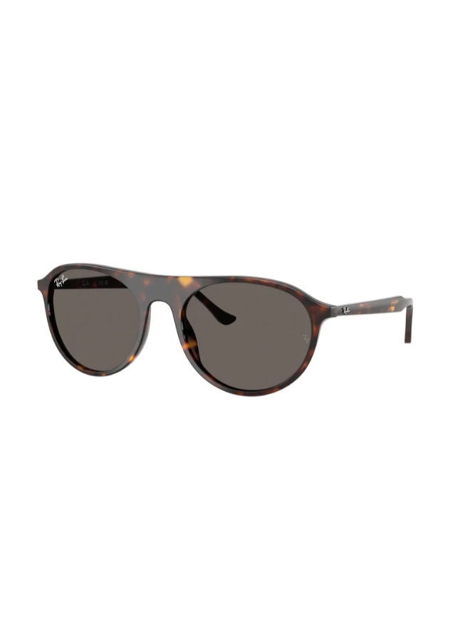 راي بان Full-rimed Aviator Sunglasses 2215, 56, 902, B1 - Image 1