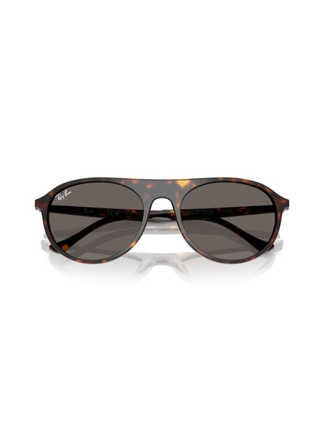 راي بان Full-rimed Aviator Sunglasses 2215, 56, 902, B1 - Image 2