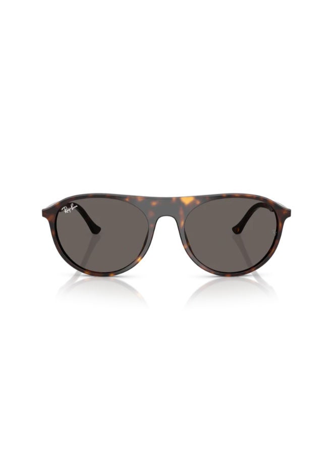 راي بان Full-rimed Aviator Sunglasses 2215, 56, 902, B1 - Image 3
