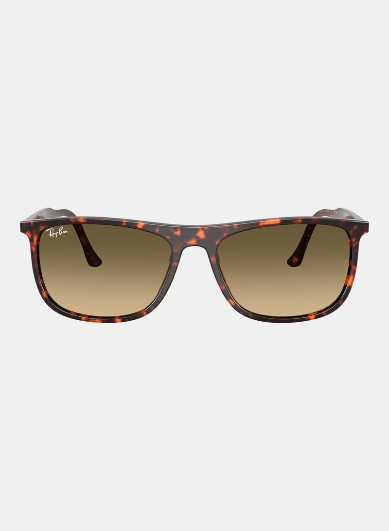 راي بان Men's Full-rimed Rectangular Sunglasses 2216, 58, 1429, 0A - Image 1