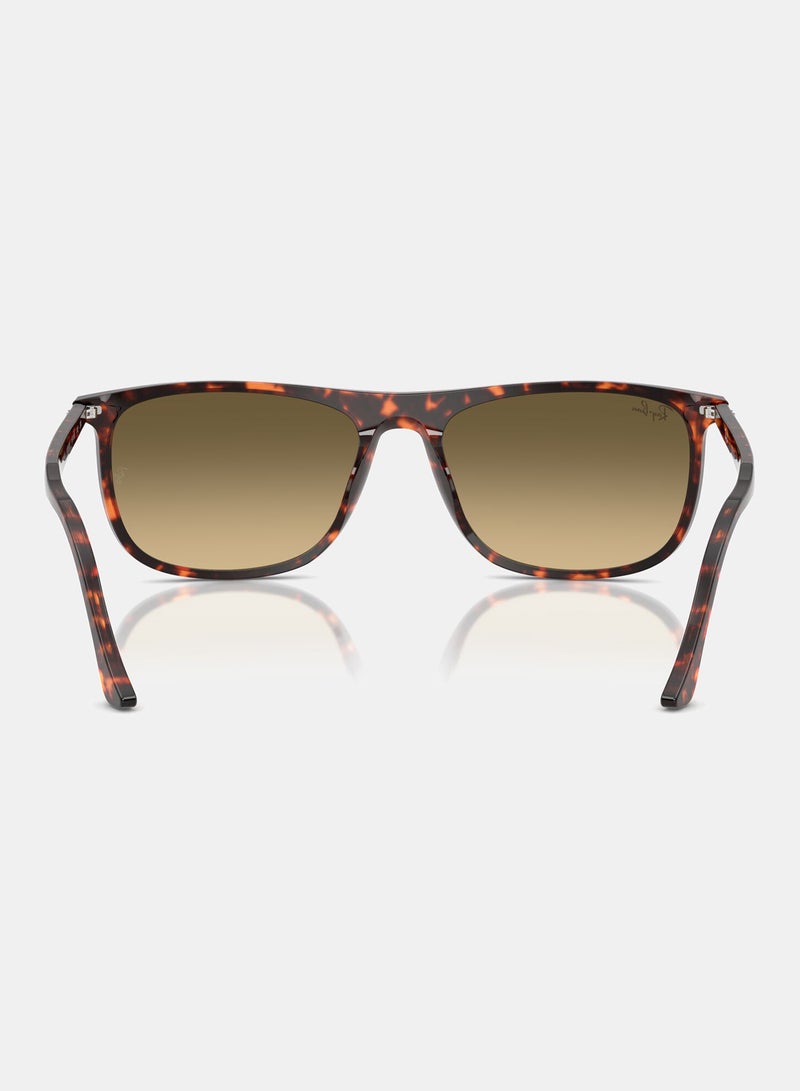 راي بان Men's Full-rimed Rectangular Sunglasses 2216, 58, 1429, 0A - Image 4