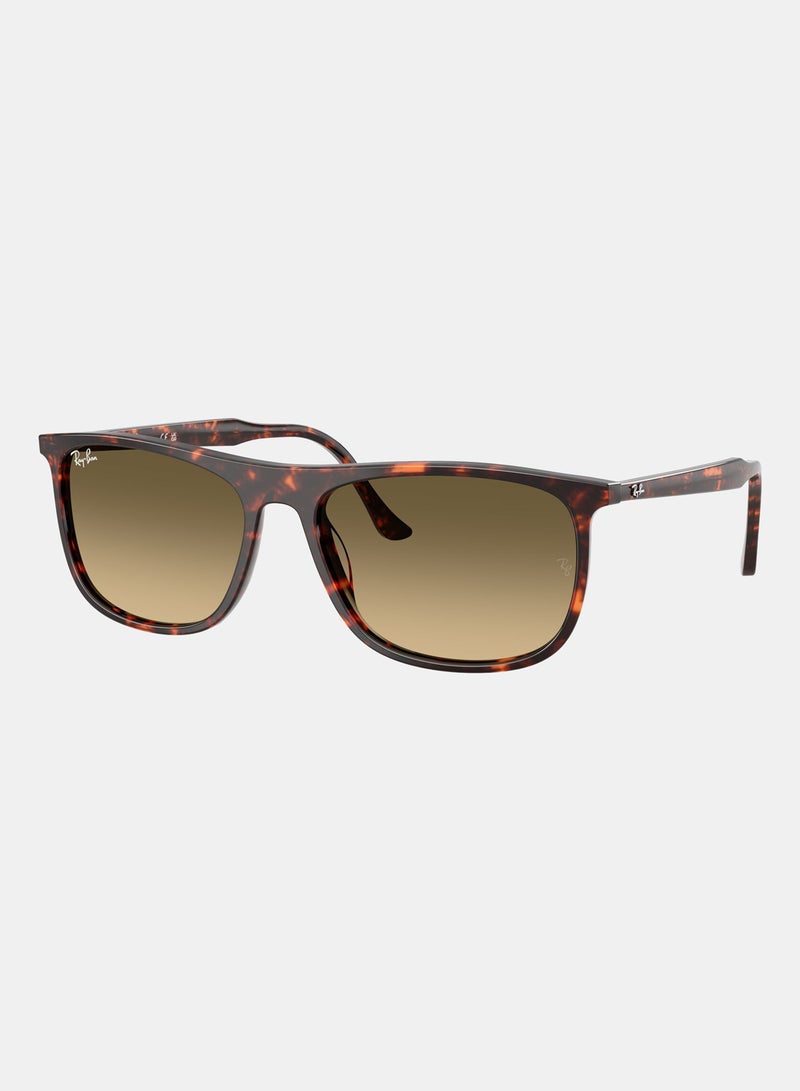 راي بان Men's Full-rimed Rectangular Sunglasses 2216, 58, 1429, 0A - Image 2