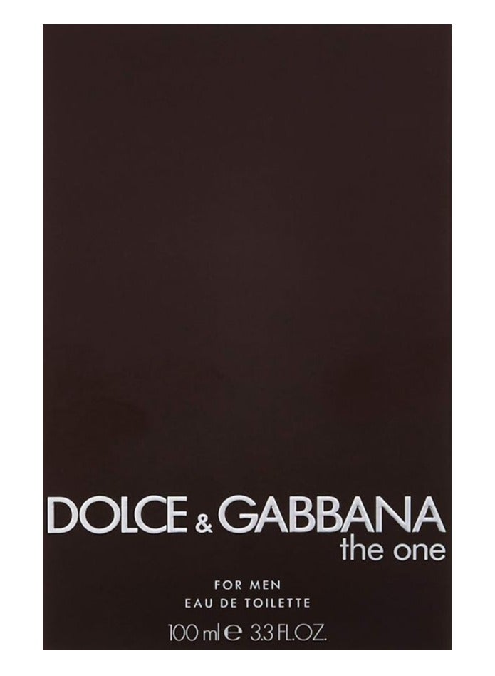 دولتشي آند غابانا ذا وان EDT 100 مل - Image 3
