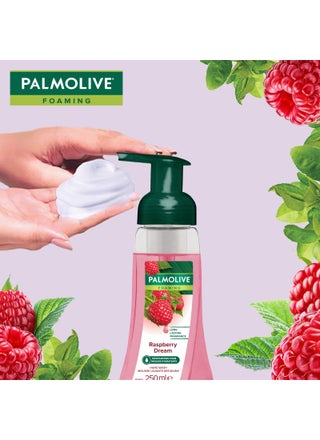 Raspberry Foam Hand Wash - view 4