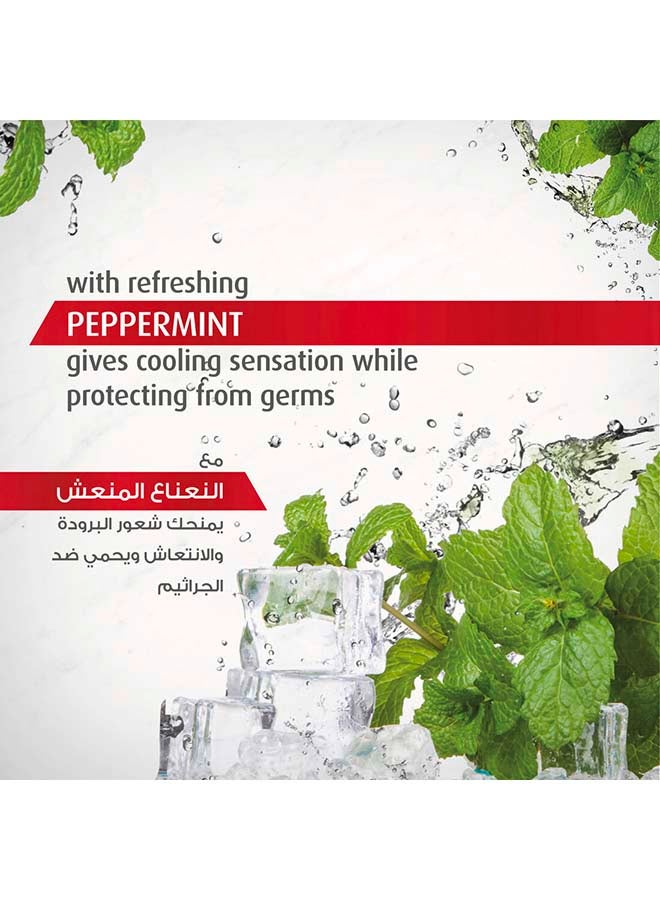 لايفبوي غسول الجسم المنعش البارد 12 قطعة - Image 5