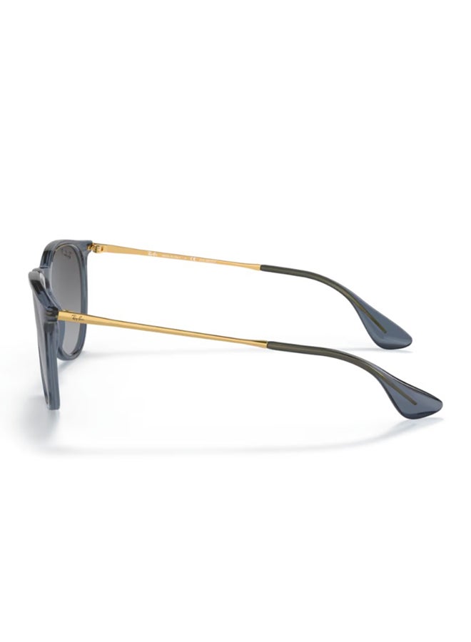 Ray-Ban Women's Ray-Ban RB4171 6592T3 Women's Round Sunglasses - Lens Size: 54 mm - Image 2