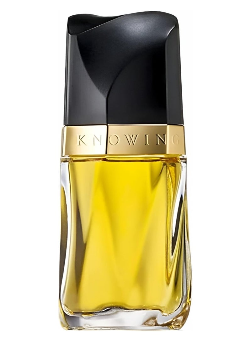 استي لودر نوتينغ EDP - Image 2