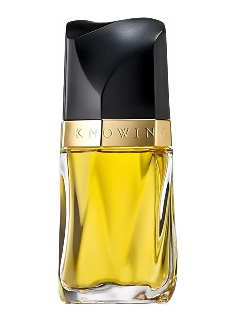 استي لودر نوتينغ EDP - Image 4