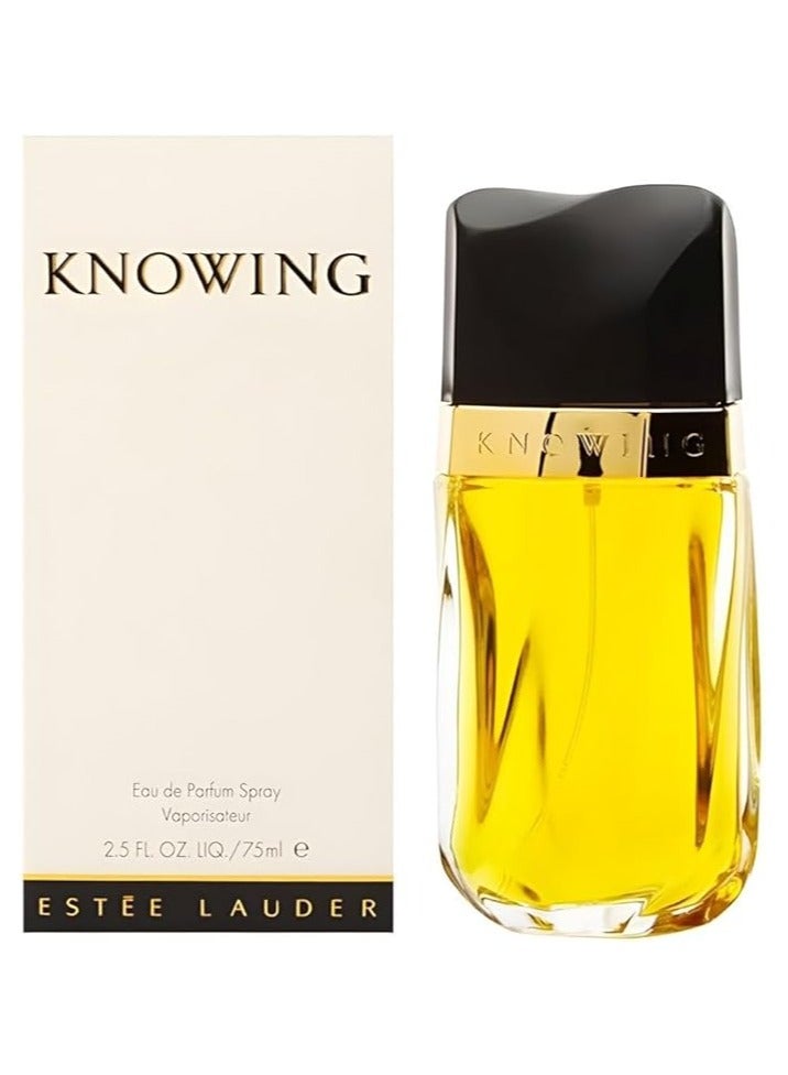 استي لودر نوتينغ EDP - Image 1