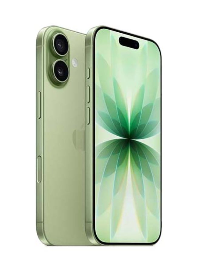 Apple iPhone 17 512GB Sage 5G (eSim only) With FaceTime - Middle East Version - Image 2