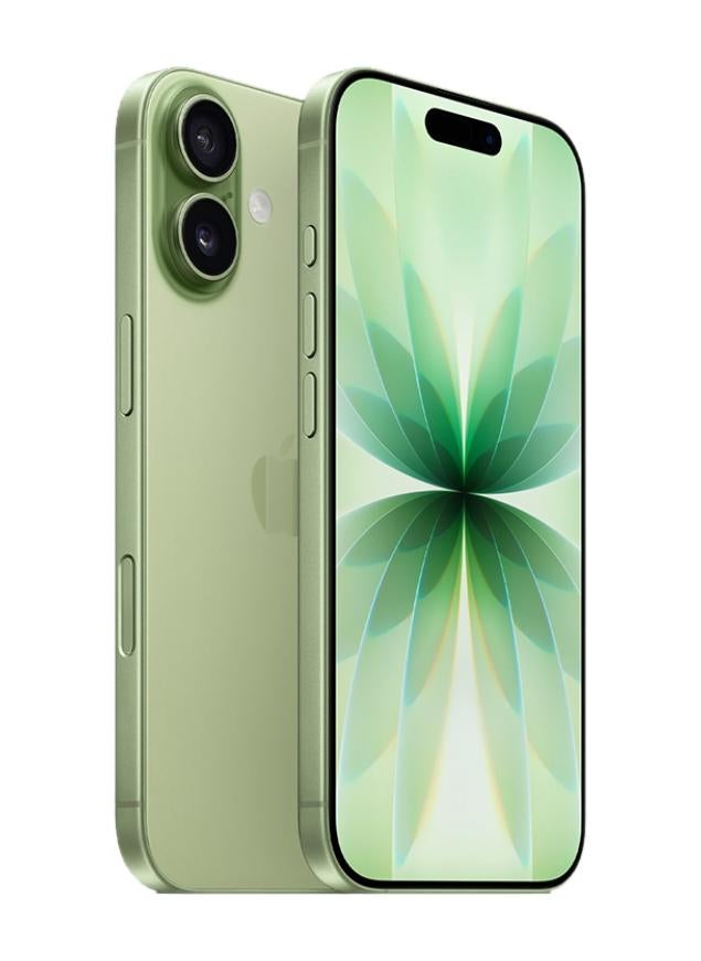 Apple iPhone 17 256GB Sage 5G (eSim only) With FaceTime - International Version - Image 2