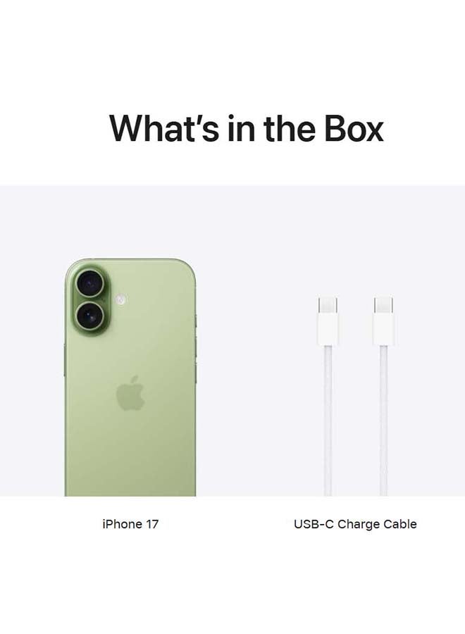 ابل  آيفون 17 512 جيجابايت ساج 5G (eSim فقط) مع فيس تايم - النسخة الدولية - Image 5
