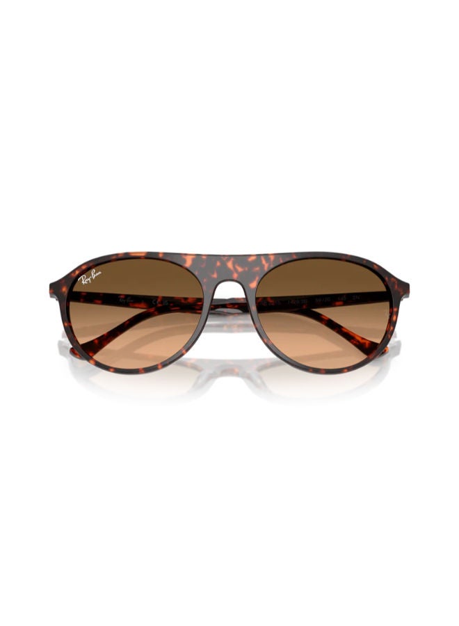 راي بان Full-rimed Aviator Sunglasses 2215, 56, 1429, 3B - Image 2