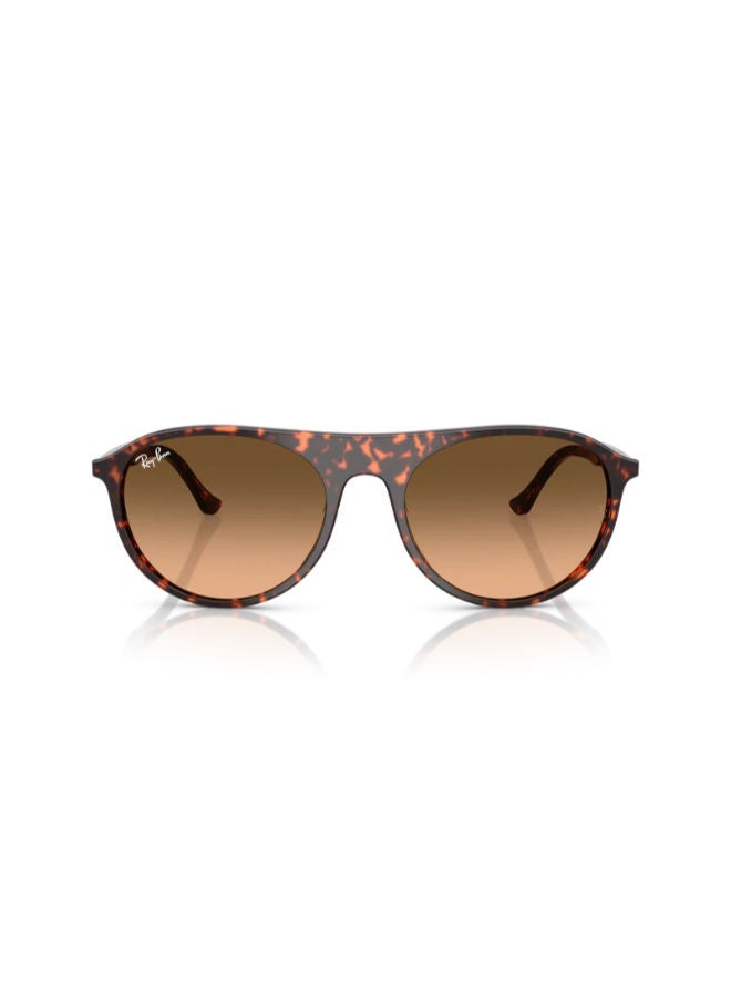 راي بان Full-rimed Aviator Sunglasses 2215, 56, 1429, 3B - Image 3