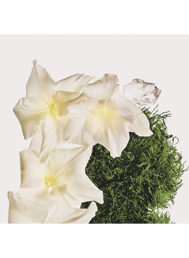 كالفن كلاين رذاذ عطر القطن والمسك للجنسين للشعر والجسم - Image 4