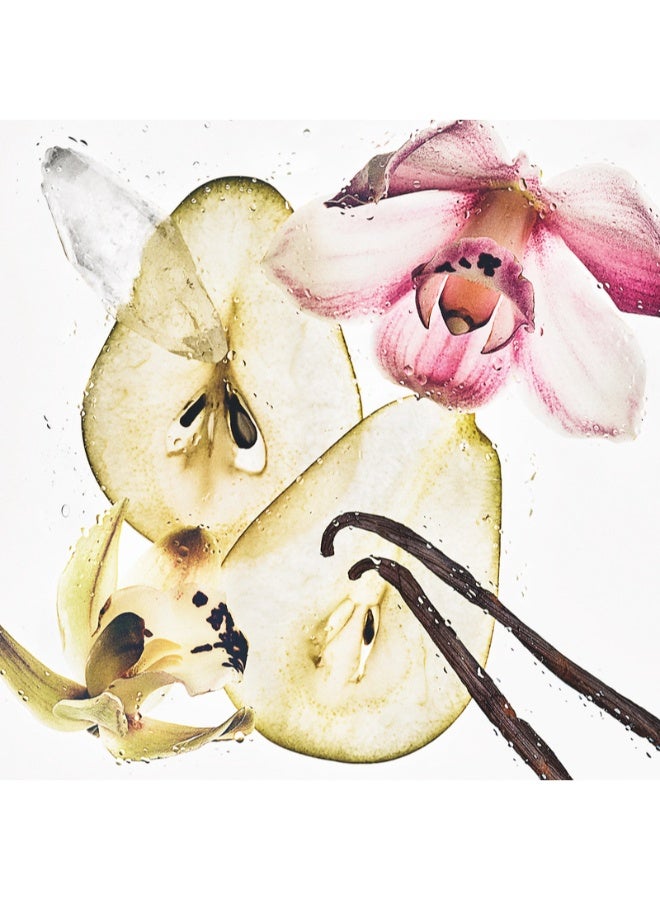 كالفن كلاين رذاذ عطر شعر وجسم فانيليا نود للجنسين - Image 4