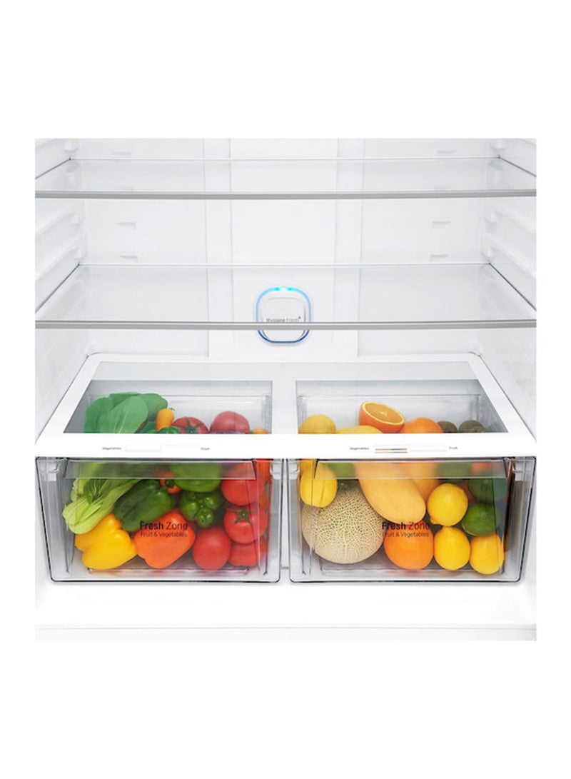 LG 592L 20.9 Ft Refrigerator | Top Freezer | Inverter LT22HBHWIN Super White LT22HBHWIN Super White - Image 5