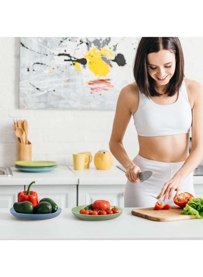 Home Care Unbreakable Dinner Plates Set of 4, Reusable Wheat Straw Plates 7.8 Inches, Lightweight Unbreakable Dinner Dishes Plates, Dishwasher & Microwave Safe - Image 5