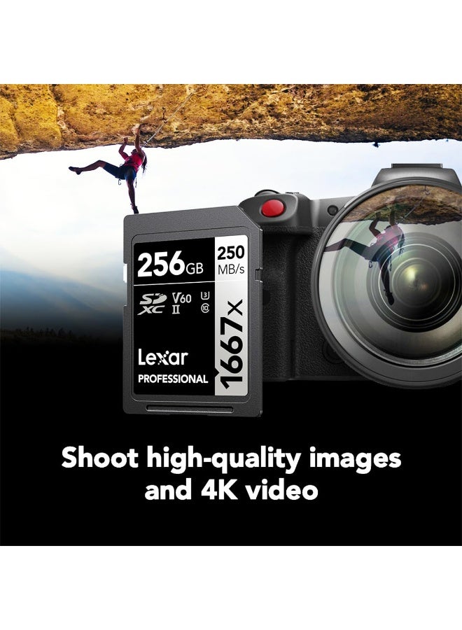 Lexar 256GB Professional 1667x SDXC Memory Card, UHS-II, C10, U3, V60, Full-HD & 4K Video, Up To 250MB/s Read, for Professional Photographer, Videographer, Enthusiast (LSD256CBNA1667) 256 GB - Image 4