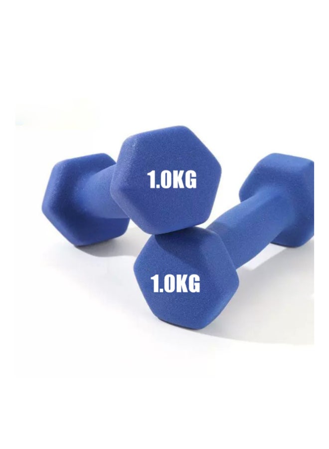 إج طقم دمبل من الحديد الزهر الصلب 6 كجم - تصميم سداسي مطلي بالبودرة مع طلاء مطاطي وملون للياقة البدنية في المنزل والعائلة - Image 3