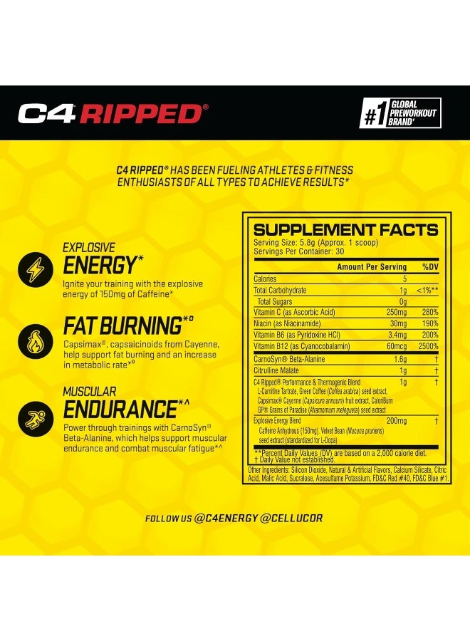 سيلوكور مسحوق C4 ريبيد قبل التمرين بنكهة الليمون والتوت | خالي من الكرياتين + خالي من السكر مكمل طاقة قبل التمرين للرجال والنساء | 150 ملغ كافيين + بيتا ألانين | 30 حصة (قد يختلف التعبئة)  - Image 2